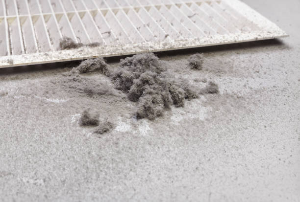 Best Residential Air Duct Cleaning  in Manchester, MI
