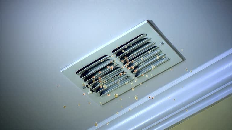 Manchester, MI Airduct Cleaning Company
