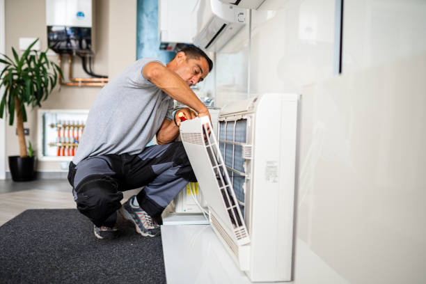 Best Affordable Air Duct Cleaning  in Manchester, MI
