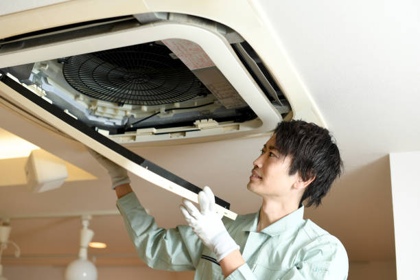 Air Duct Mold Removal in Manchester, MI
