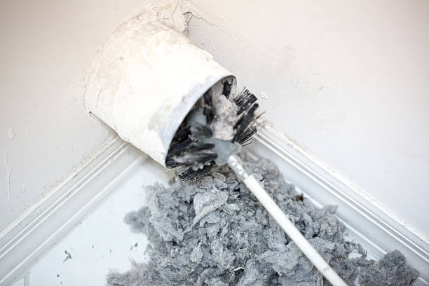 Best Affordable Duct Cleaning Services  in Manchester, MI